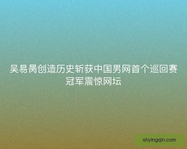 吴易昺创造历史斩获中国男网首个巡回赛冠军震惊网坛